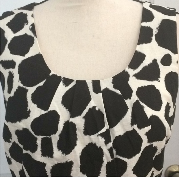 Loft Printed Dress - Picture 9 of 11